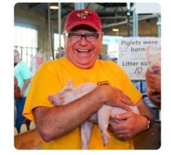 Tim Walz pig Meme Template