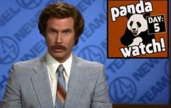 Anchorman Panda Watch Meme Template