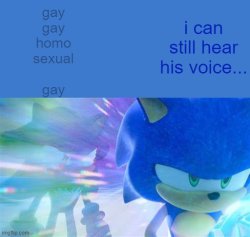 sonic is gay gay homosexual gay Meme Template