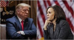 Trump and Harris Meme Template