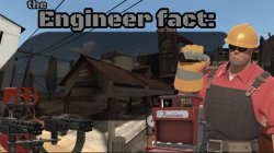 Engineer fact Meme Template