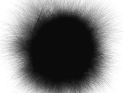 Hole Meme Template