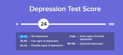 depression test results Meme Template