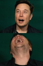 Elon laughing Meme Template