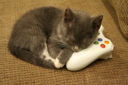 Xbox kitten Meme Template