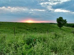 Prairie and sunset Meme Template