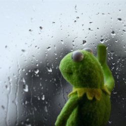 kermit looking out rainy window Meme Template