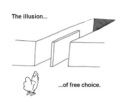 COQINU illusion Meme Template