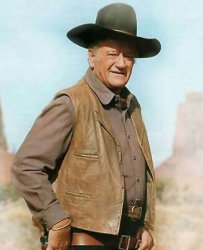 John Wayne brown suit southwest western Meme Template