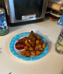 THE DINO NUGGIES??!?!?!?!!! Meme Template