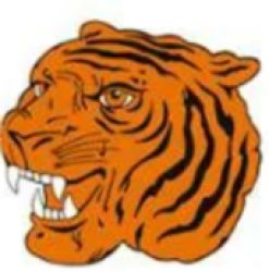 Calgary Tigers Meme Template