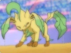 Leafeon hurt Meme Template