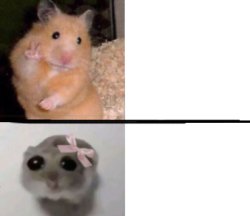 Hamster ? Meme Template