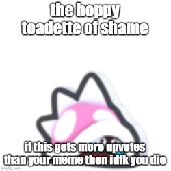 hoppy toadette of shame Meme Template