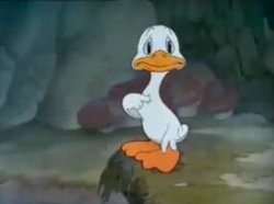 confused duck Meme Template