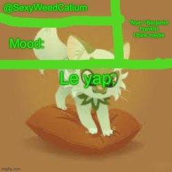 SexyWeedCatium announcement temp Meme Template