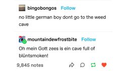 no little german boy dont go to the weed cave Meme Template