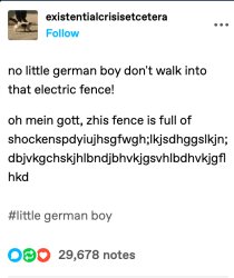 no little german boy dont walk into that electric fence! Meme Template