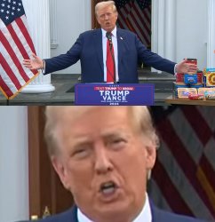 A Weird Donald Meme Template