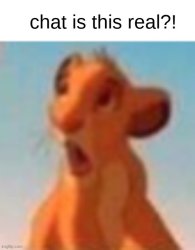 chat is this real?! Meme Template