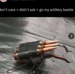 Artillery beetle Meme Template