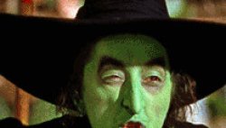 Wicked witch Meme Template