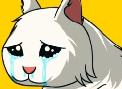 $crying cat Meme Template