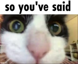 so youve said Meme Template