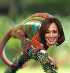 Kamala chameleon Meme Template