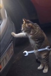 Garage Cat Meme Template