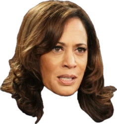 Kamala serious Meme Template