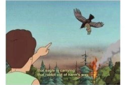 peggy hill rabit out of harms way Meme Template