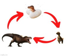 T-Rex life cycle Meme Template