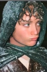 Smug Frodo Meme Template