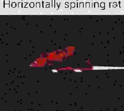 Deep fried horizontally spinning rat Meme Template