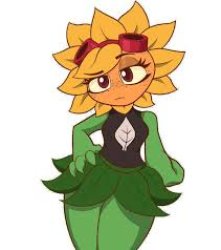 Destello solar Meme Template