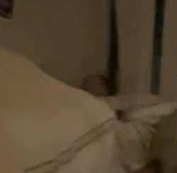 sleep Meme Template