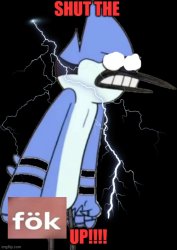 shut the fok up mordecai Meme Template