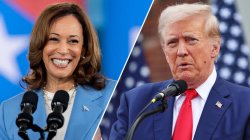 Kamala Harris Donald Trump Team Normal Vs. Team Crazy Meme Template