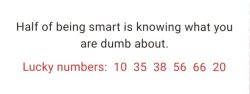 Fortunr Smart = Dumb 3 Meme Template