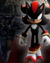 Shadow the Hedgehog Meme Template