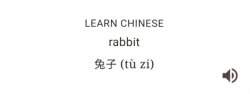 Chinese Rabbit Meme Template