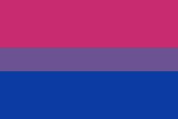 Bisexual Flag Meme Template