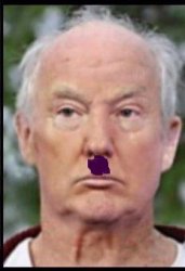 trump hitler mustache Meme Template