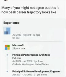 Peak Career Trajectory Meme Template