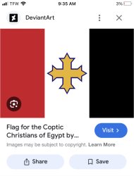Anti anime association flag (possible) origin Meme Template