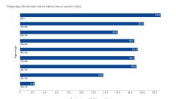 US suicide  rates by age - CDC Meme Template