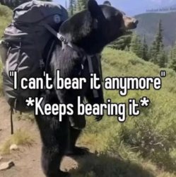 bear bearing Meme Template