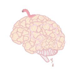 brain worm Meme Template