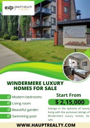 Windermere Luxury Homes For Sale Meme Template